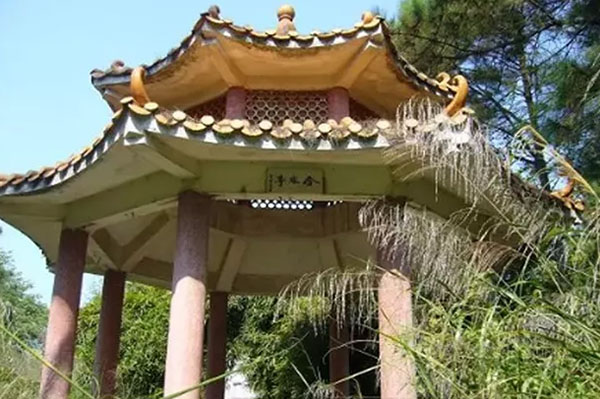 身边的红色印记丨缅怀：合水革命烈士陵园