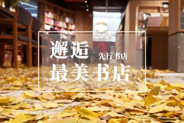 遍地金黄银杏叶！走进佛山这间书店，咫尺间遇见情怀
