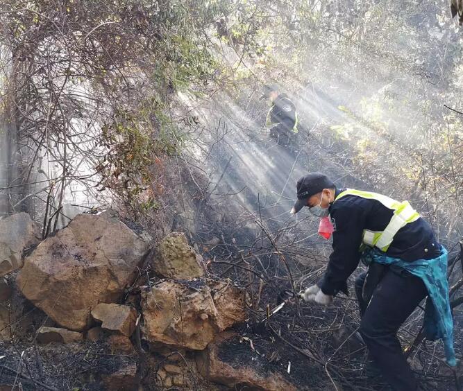 高明凌云山森林山火全部扑灭！感谢南海最美&ldquo;逆行者&rdquo;