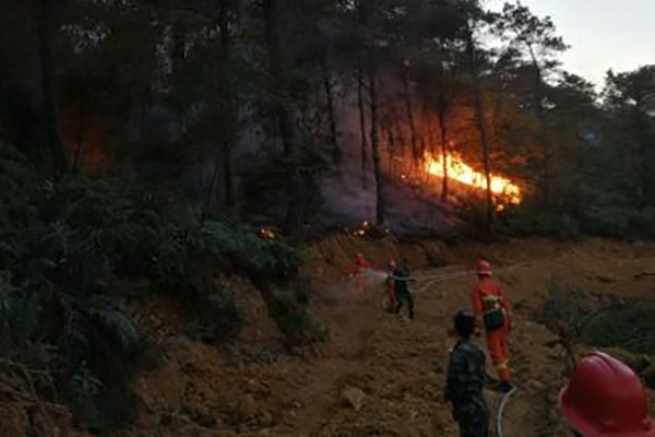 广东佛山森林大火又现明火 武警官兵辗转奋战一线