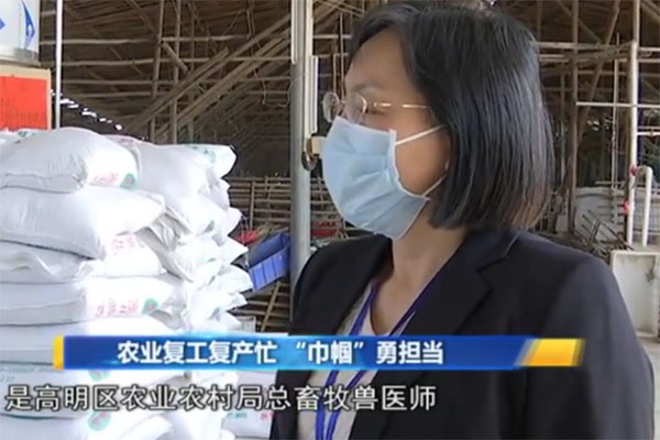 农业复工复产忙，佛山&ldquo;巾帼&rdquo;勇担当