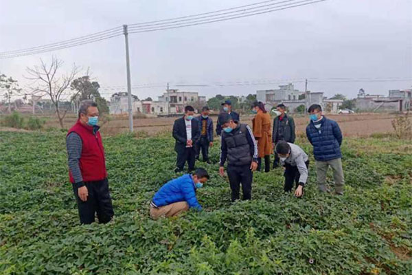 佛山顺德扶贫第一书记奋战抗疫一线 抢抓复耕复产关键时机