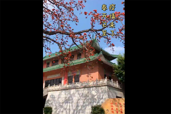 我在佛山等春天