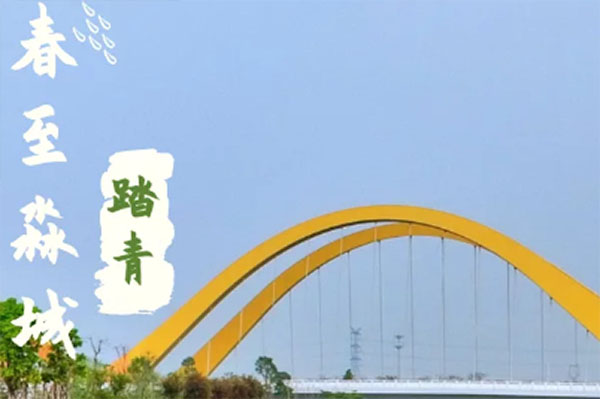 踏青去，我想与你踏遍淼城千山万水！