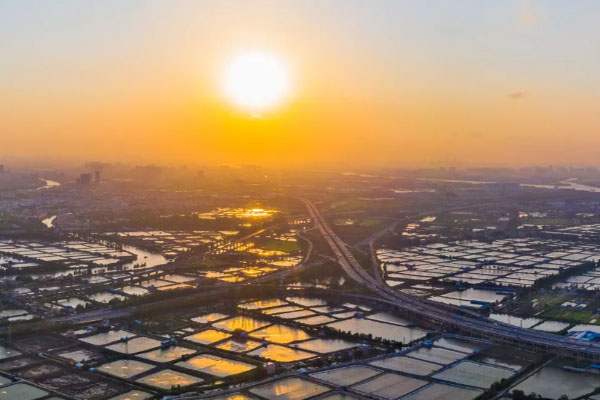 美爆了！高空俯瞰雨后初晴的顺德，云雾缭绕犹如人间仙境