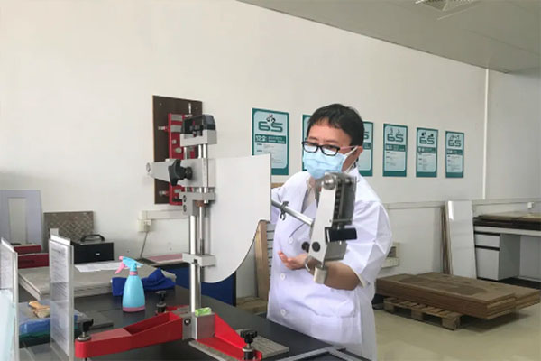 肖景红：攻克国际标准，助力佛山陶瓷走向世界