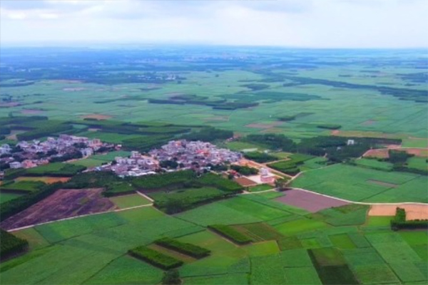 佛山三水云东海对口帮扶村：走出致富路，结出幸福果