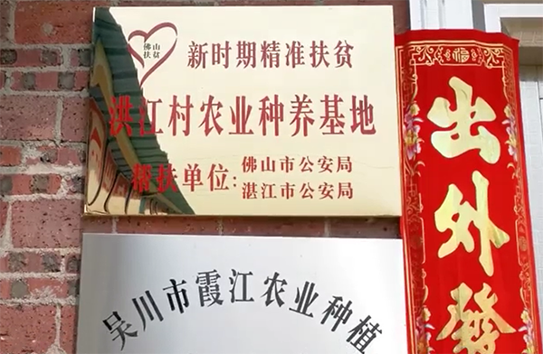 佛山对口帮扶湛江市洪江村：迈上脱贫致富康庄大道