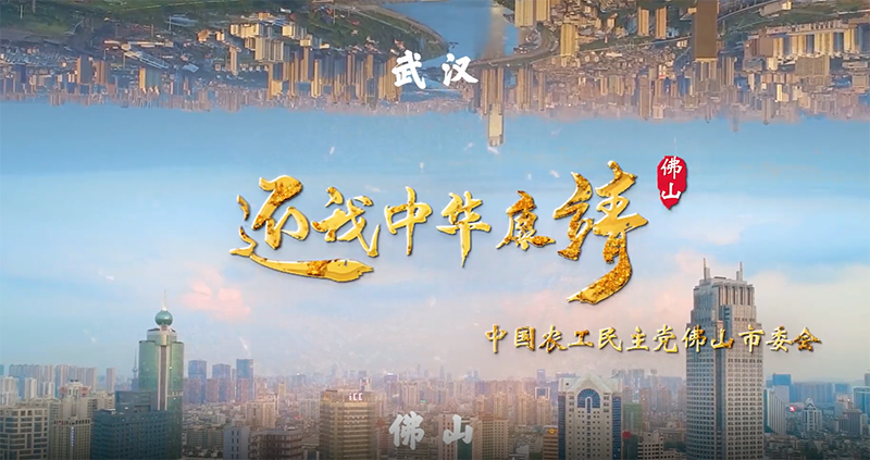 还我中华康靖