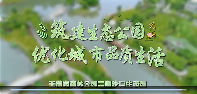 王借岗公园