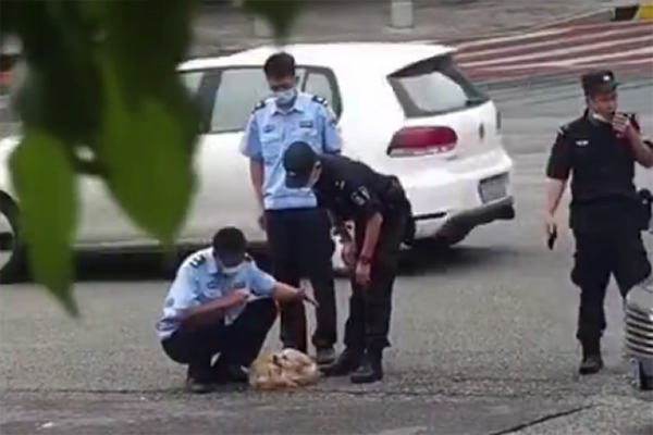 受伤狗狗被困车流，佛山南海民警暖心营救