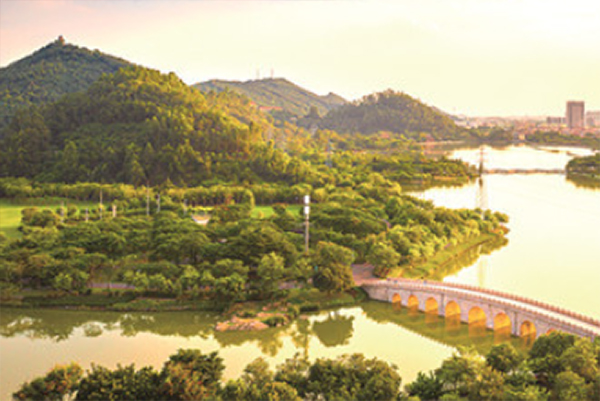 绿色家园 共建共享，推窗有绿景 出门见公园