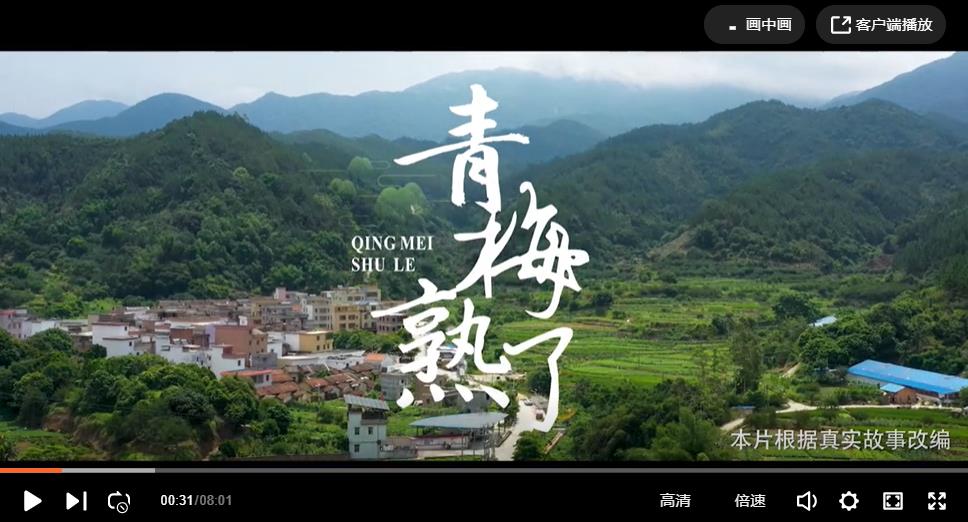 《青梅熟了》
