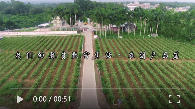 我们的脱贫致富生活&middot;农副产品篇