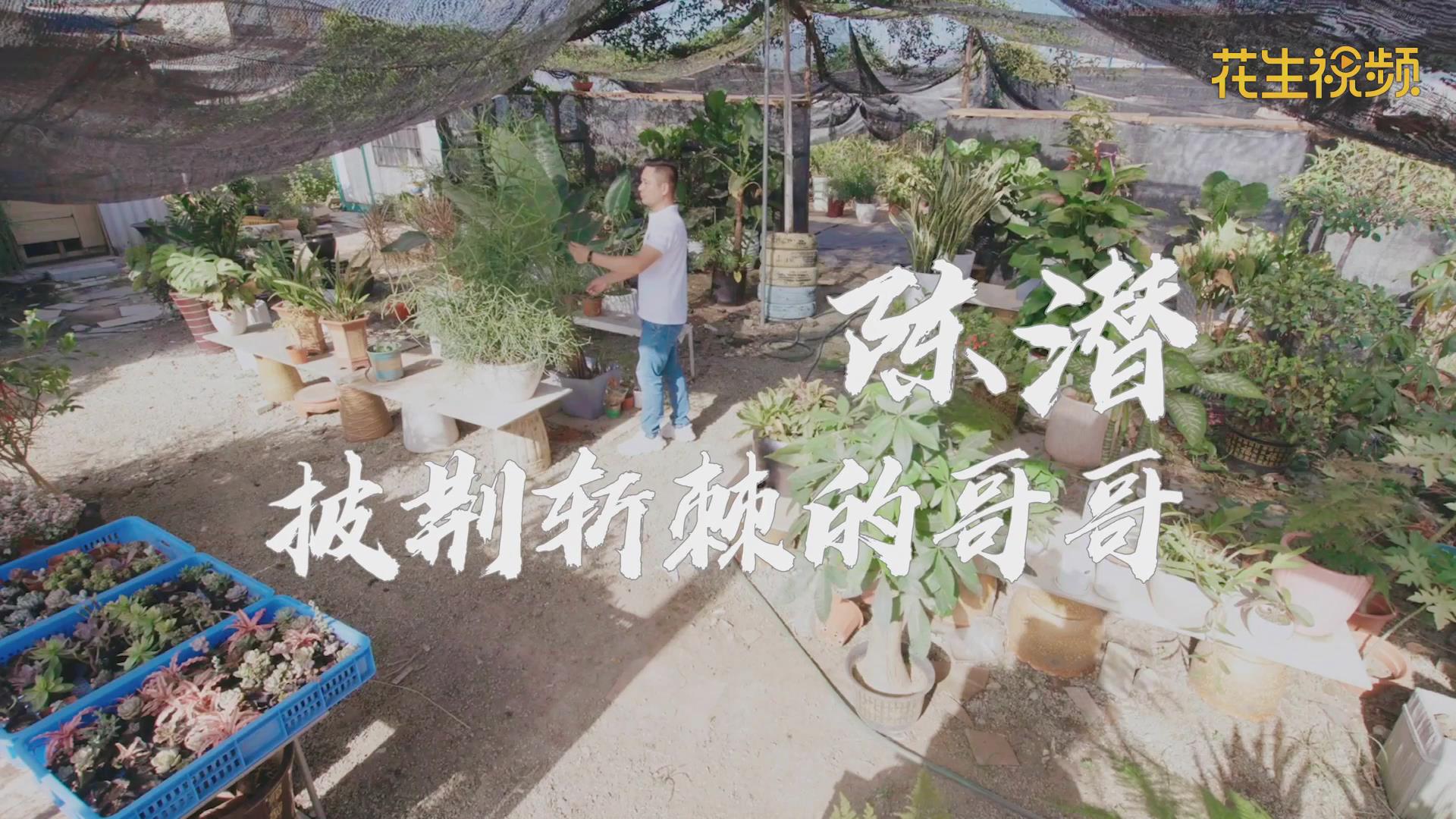 小康路上，他是披荆斩棘的哥哥！