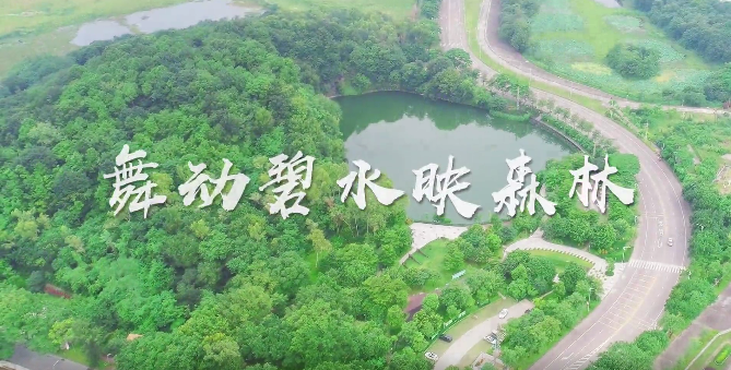 舞动碧水映森林