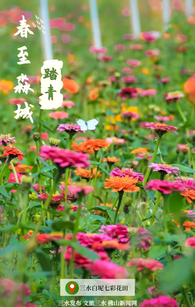 踏青去！来佛山三水，与你走遍千山万水