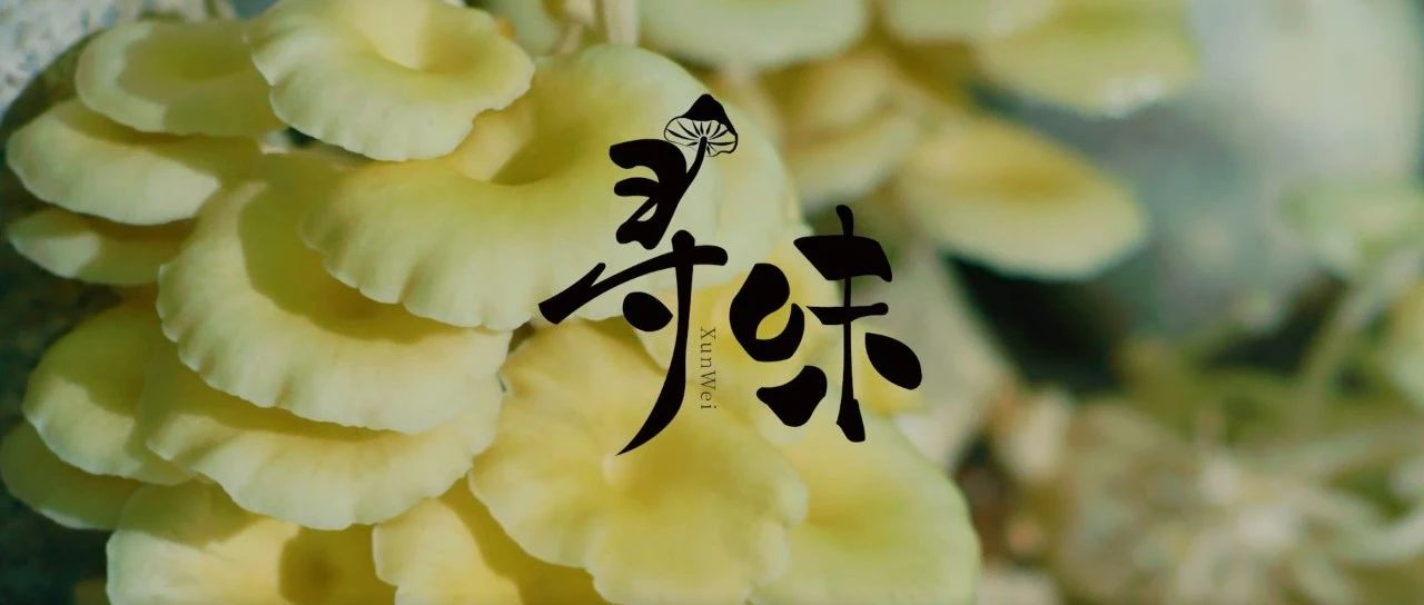 寻味
