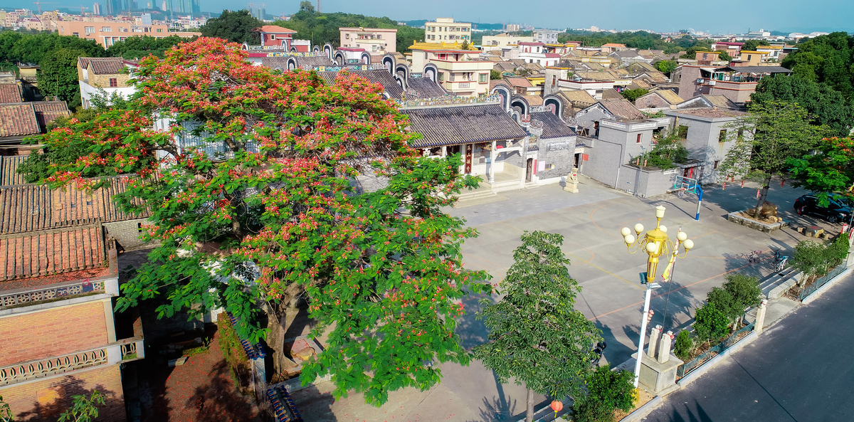 广东省第二批全国乡村旅游重点村备选村名单出炉