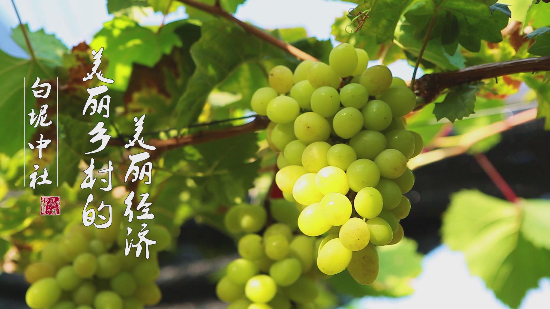 佛山三水白坭：从&ldquo;美丽乡村&rdquo;到&ldquo;美丽经济&rdquo;