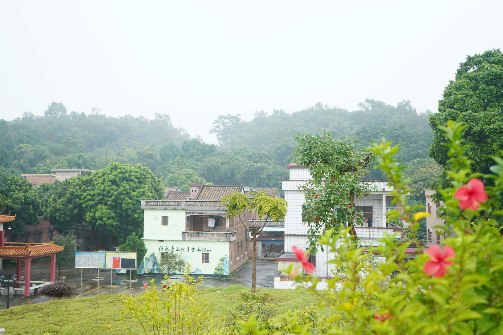 佛山三水下灶村：&ldquo;问题村&rdquo;变身美丽村居