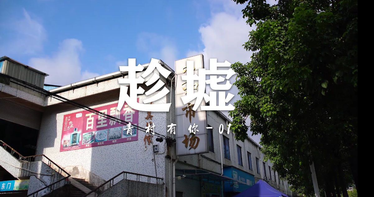 青春有你vlog