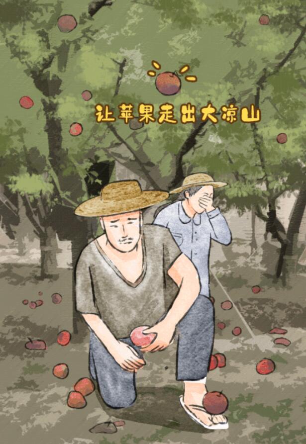 &ldquo;又红又甜的苹果，快烂在地里了！&rdquo; 点进来，帮他们一把