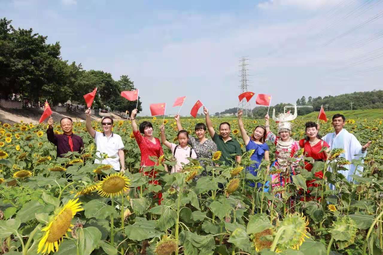 佛山三水白坭：乡村旅游旺了，农村经济富了，村民收入高