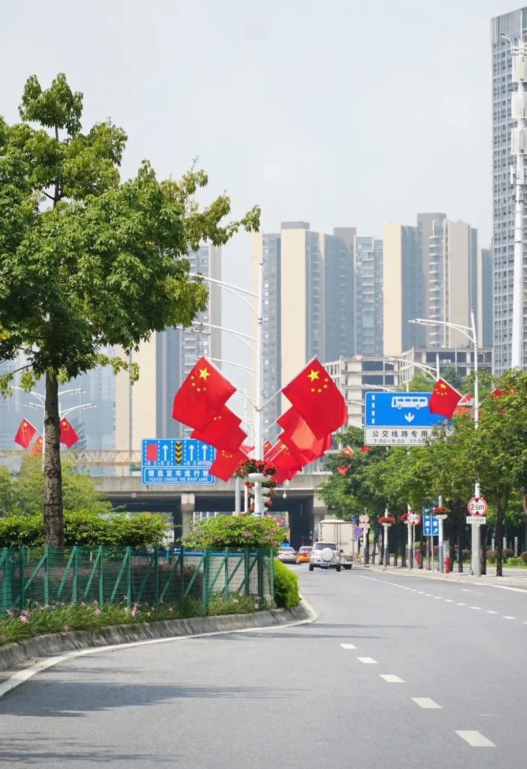 红旗飘飘迎国庆！张槎街头尽显&ldquo;中国红&rdquo;