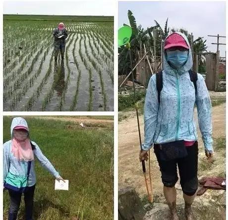 董庆文：助力乡村振兴，给农业插上科技的翅膀！