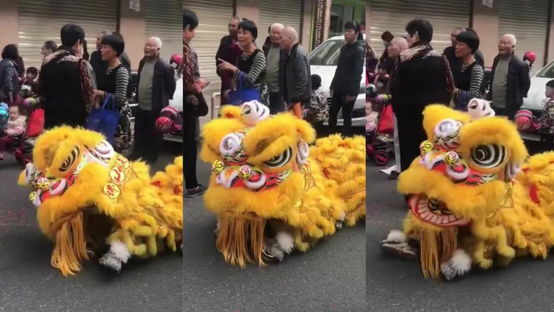 佛山&ldquo;狮子&rdquo;打瞌睡爆红，全网点击超千万！