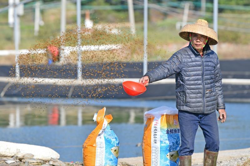 佛山顺德为湛江贫困户打开&ldquo;致富门&rdquo;