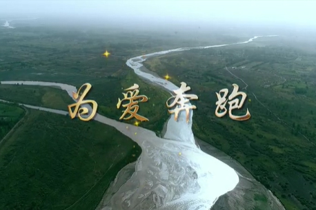 为爱奔跑