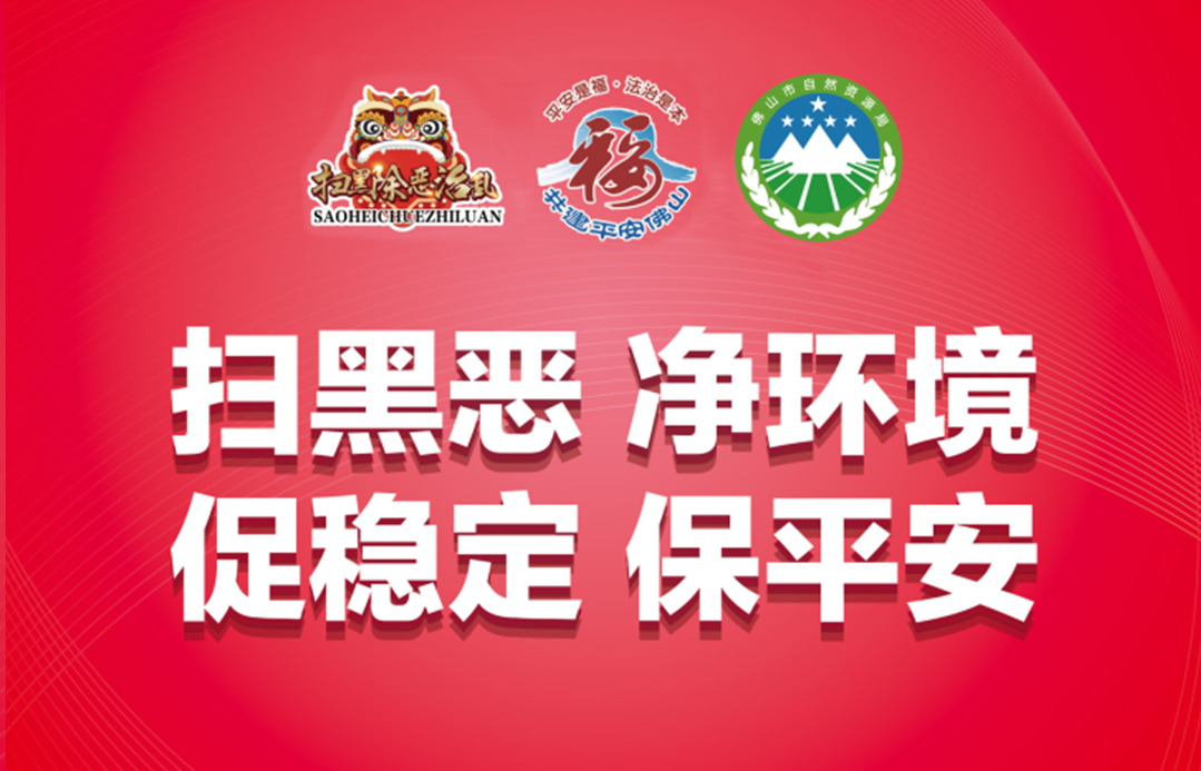 佛山市自然资源局聚焦四大板块，扫黑除恶治乱象！