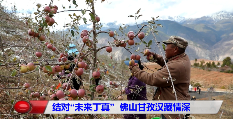 结对&ldquo;未来丁真&rdquo;
