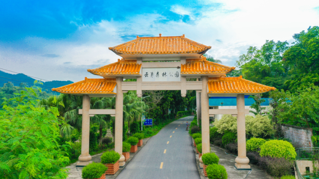 致富路民心路幸福路，就是我家门前的四好农村路