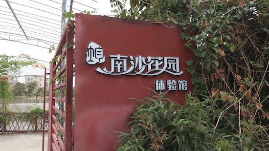 顺德区均安镇南沙社区:打造新时代美丽乡村