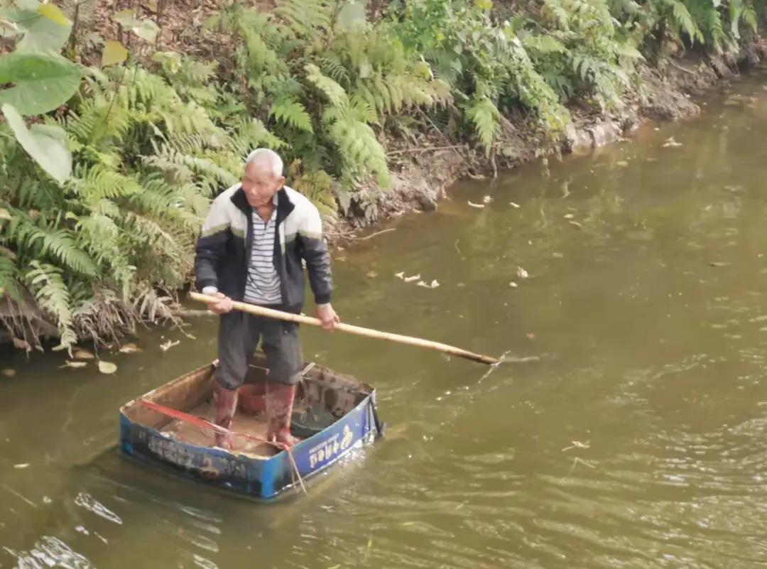 南海九江老兵护河十余载，见证海寿岛巨变