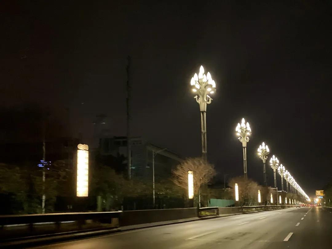 太仙了！禅城这条路&ldquo;开&rdquo;满白兰花，夜晚最美！