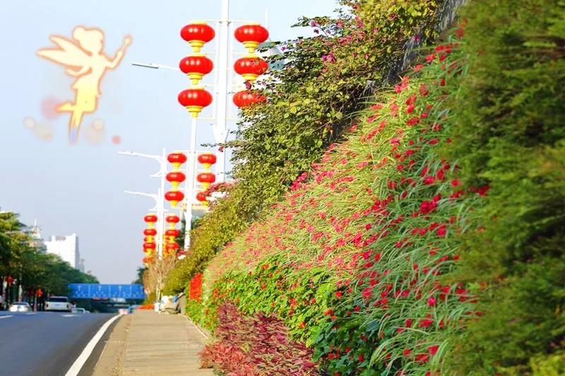 ღ( &acute;･ᴗ･` )！禅城有条花花隧道，你经过了没