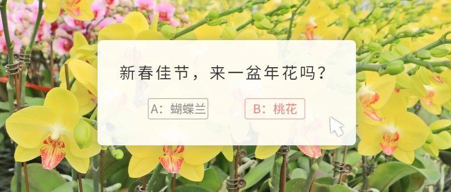 在勒流&ldquo;留年忘返&rdquo; | &ldquo;醉&rdquo;于田园花海