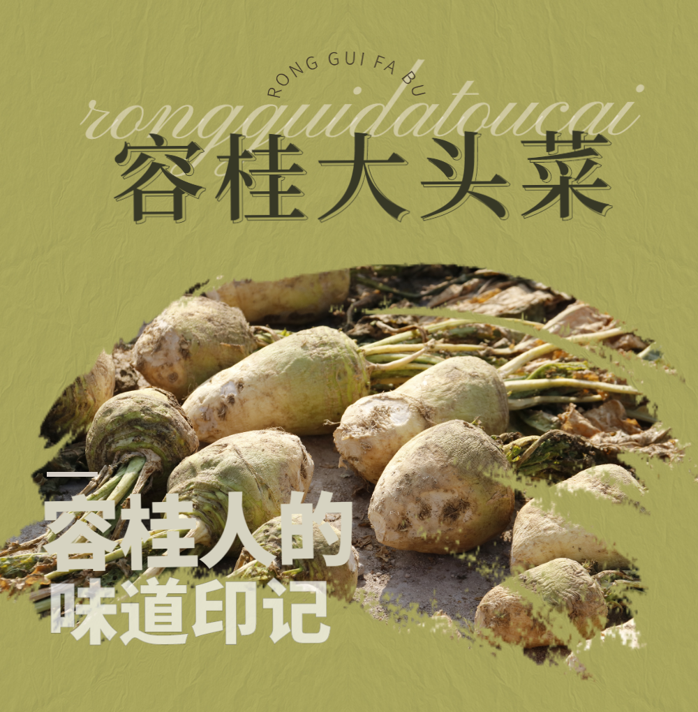 与容桂时光相遇 | 大头菜，容桂人舌尖上的&ldquo;味道印记&rdquo;
