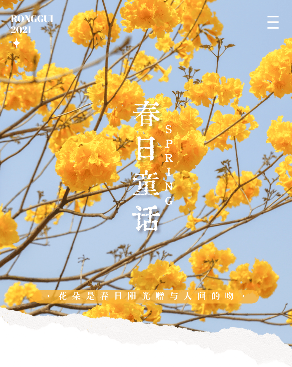 容桂惊现花海&ldquo;瀑布&rdquo;！勒杜鹃、红木棉、黄花风铃木美绝