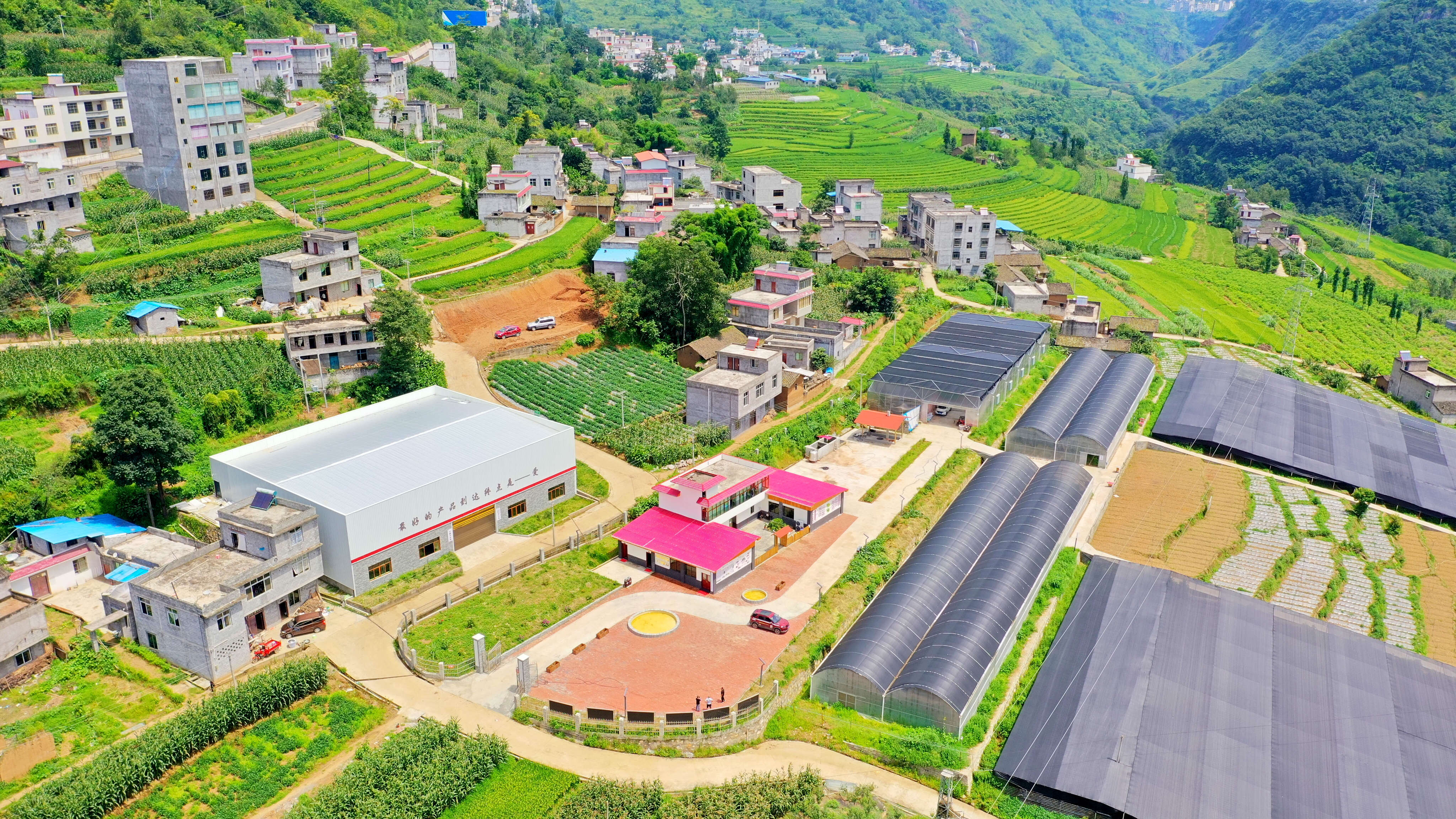 佛山顺德携手对口帮扶地区奔向共同富裕，见证山村巨变