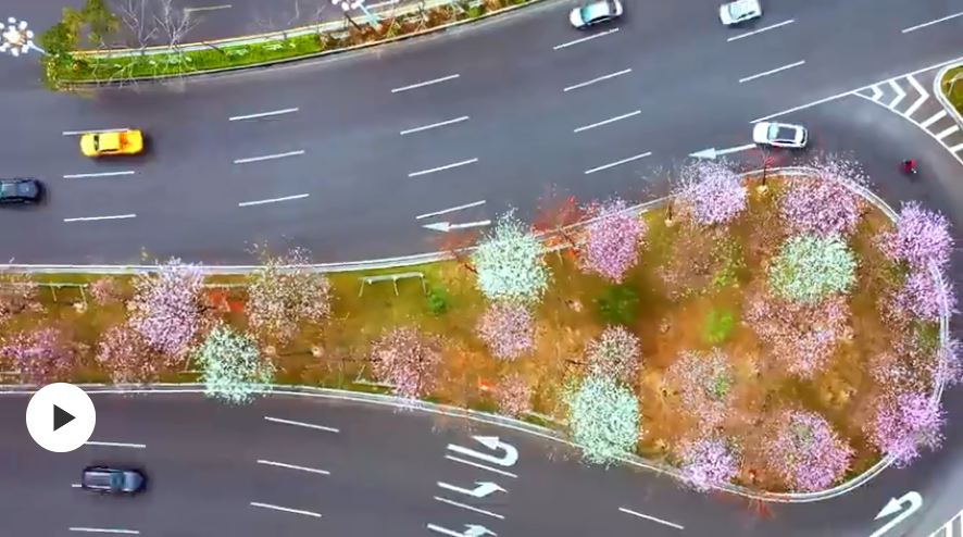 搭上春天的早班车，来佛山顺德参加这场盛大的&ldquo;花宴&rdquo;吧