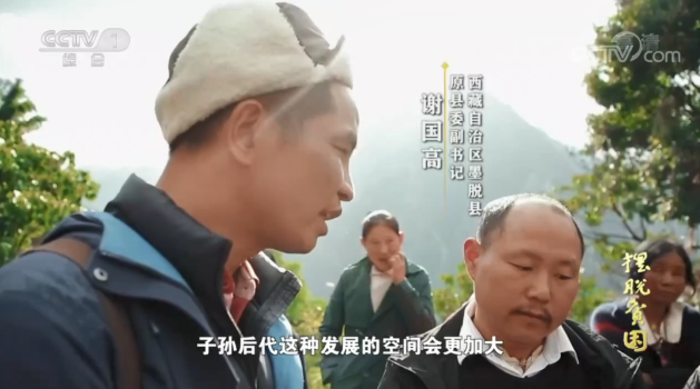 佛山，再获央视点赞！