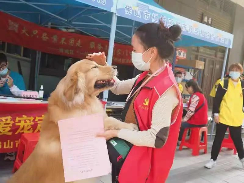 @禅城区文明养犬志愿服务队！你们最好看！