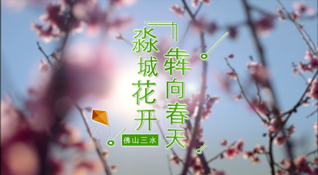 淼城花开 犇向春天