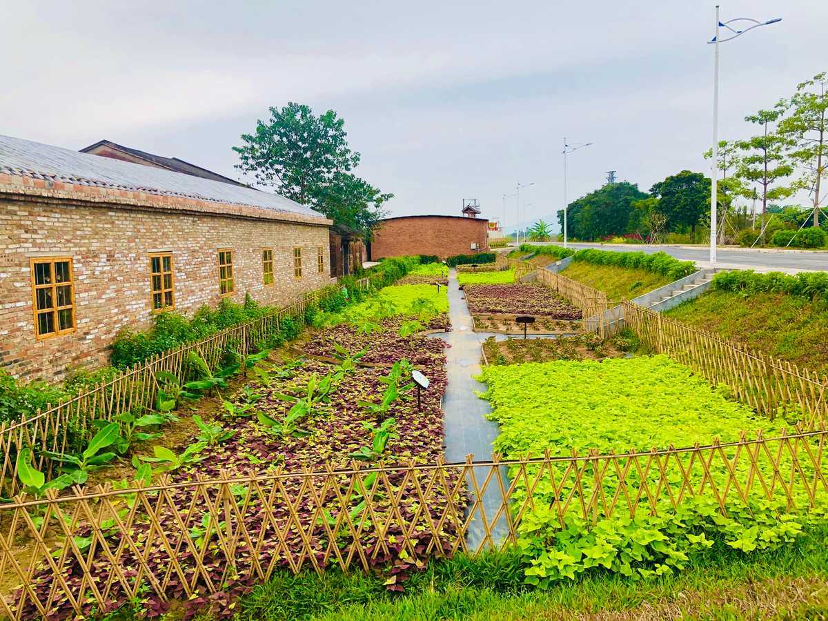 佛山三水白坭建设美丽乡村