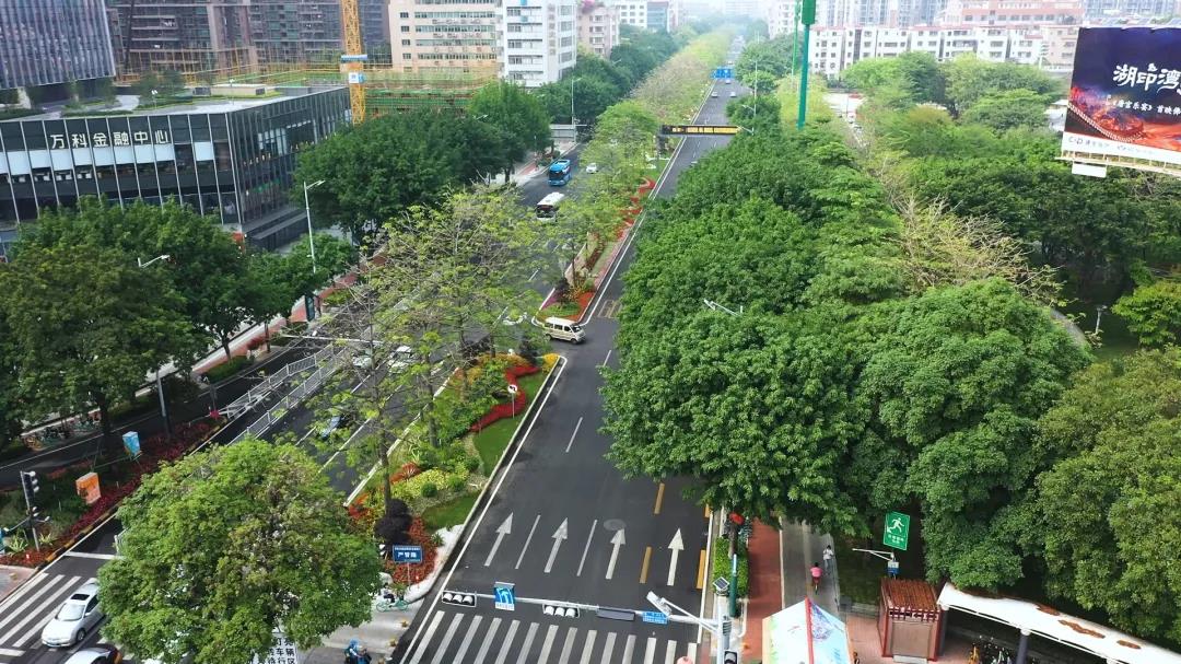 走&ldquo;新&rdquo;又走&ldquo;心&rdquo;，街头花境扮靓禅城！